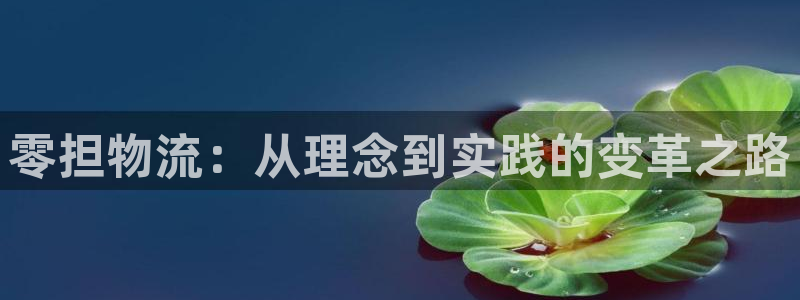28圈连接