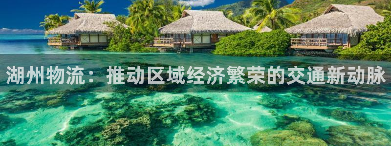 麻将128圈：湖州物流：推动区域经济