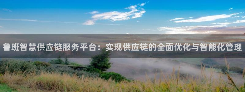 28圈软件：鲁班智慧供应链服务平台：