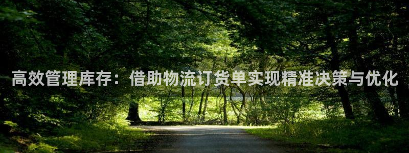 28圈充值不到账怎么办：高效管理库存：借助物流订货单实现精准