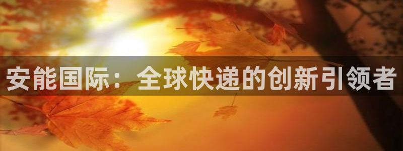 28圈充值不到账怎么回事：安能国际：