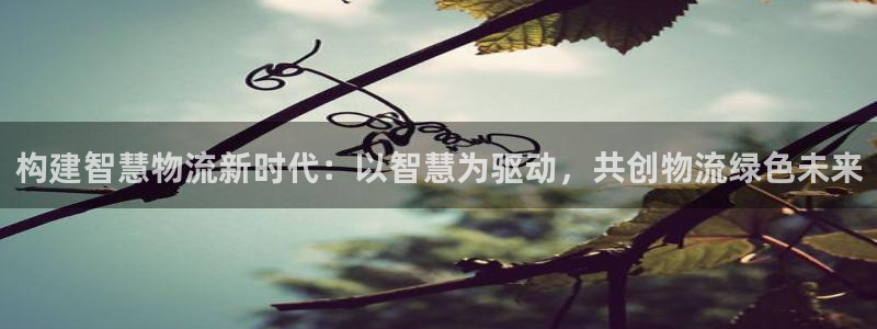 28圈口戒指是多大：构建智慧物流新时