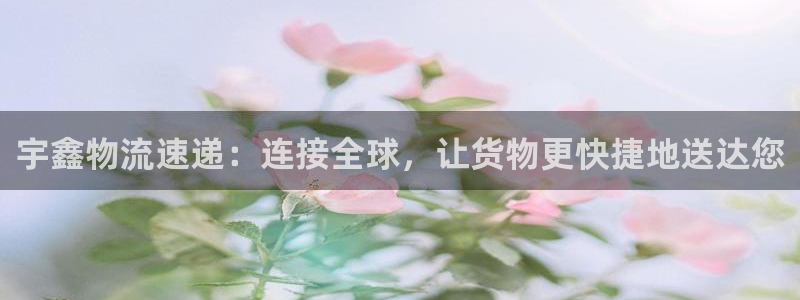 28圈注册问一问：宇鑫物流速递：连接