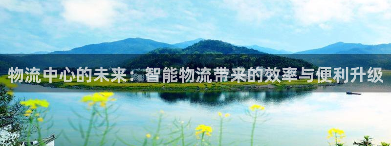 28圈p图上分下款通道：物流中心的未