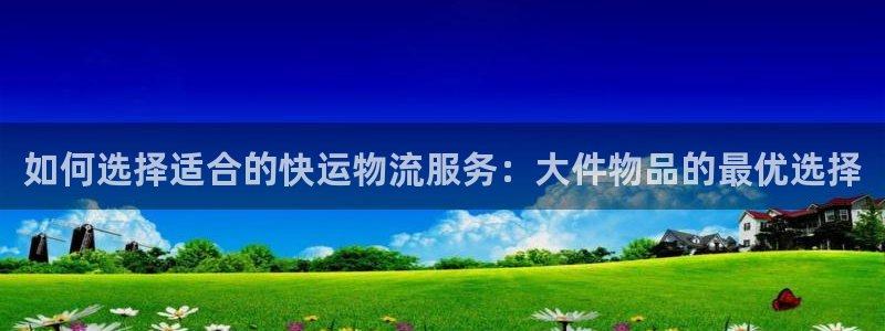28圈正规吗?：如何选择适合的快运物
