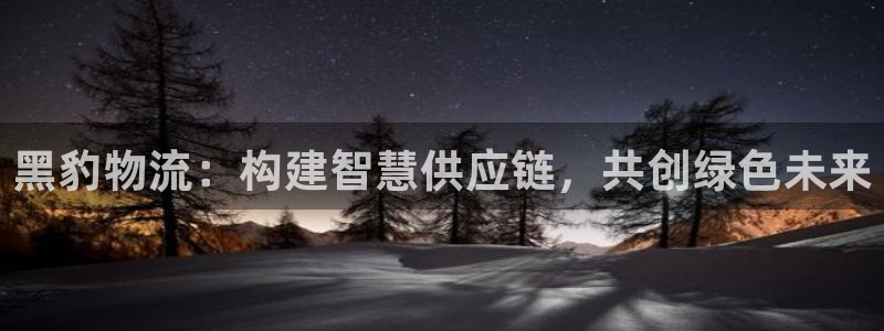 28圈登陆网：黑豹物流：构建智慧供应
