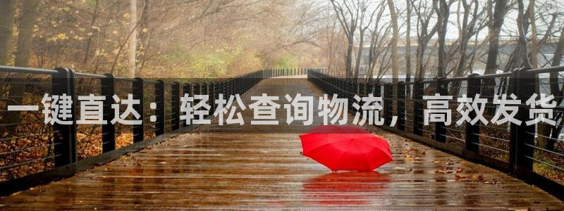 28圈APP是干什么的：一键直达：轻