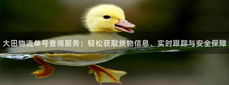 28圈现在狂杀