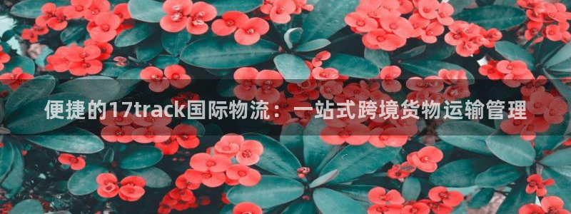 28圈旗下