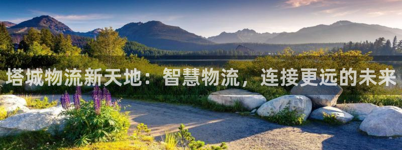 28圈v6能卖多少
