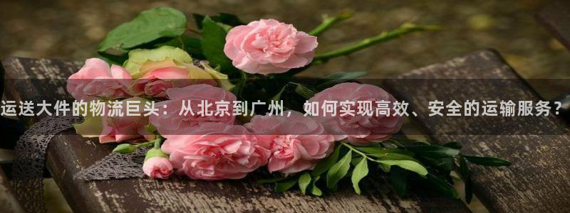 28圈退款：运送大件的物流巨头：从北京到广州，如何实现高效、