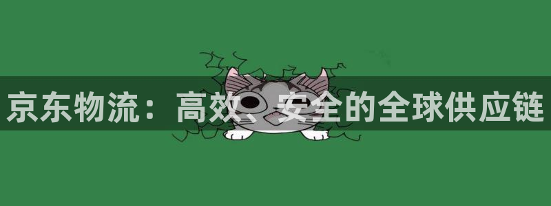 28圈在线预测官网:京东物流:高效、