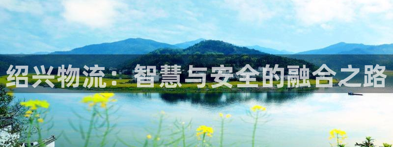 28圈是干嘛的：绍兴物流：智慧与安全的融合之路