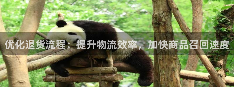 28圈的平台：优化退货流程：提升物流效率，加快商品召回速度