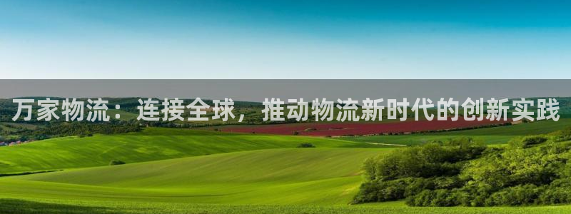 28圈起来的符号：万家物流：连接全球，推动物流新时代的创新实