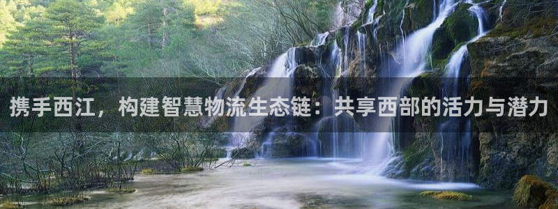28圈官网版2024