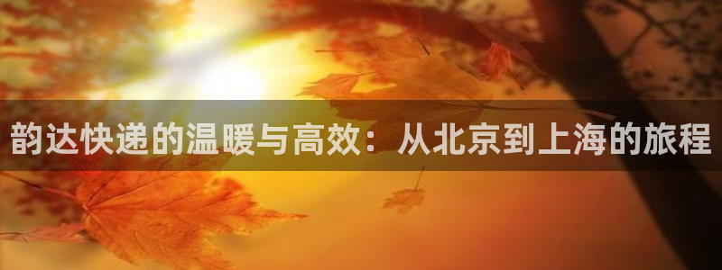 28圈娱乐官网网页入口