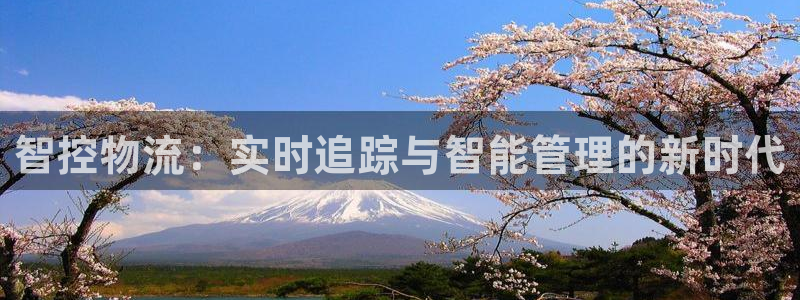 28圈里的财神