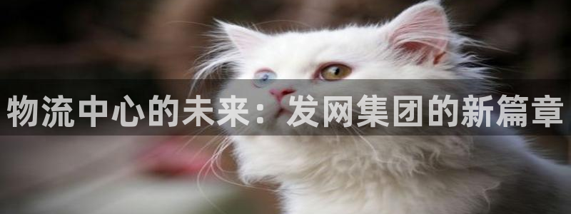 28圈官方版正版