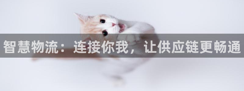 28圈口内径是多大：智慧物流：连接你