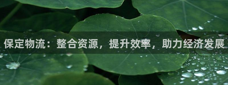 28圈链接