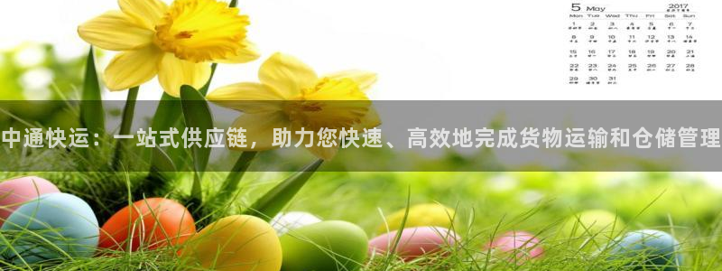 28圈网站平台是多少：中通快运：一站