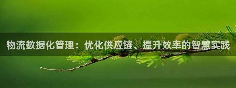 28圈反水怎么算：物流数据化管理：优化供应链、提升效率的智慧