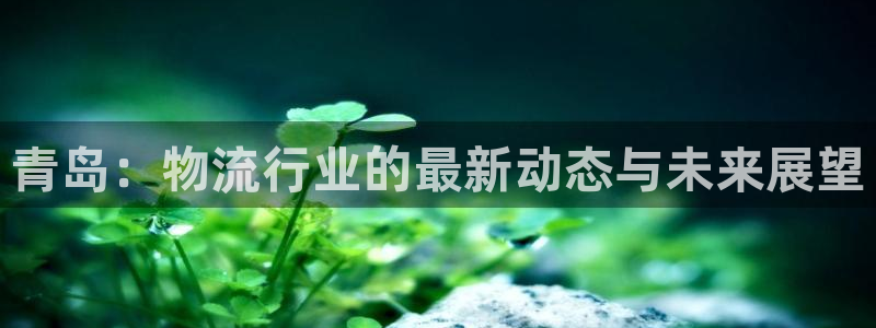 28圈app注册地址：青岛：物流行业