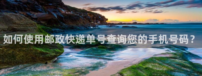 28圈的平台：如何使用邮政快递单号查