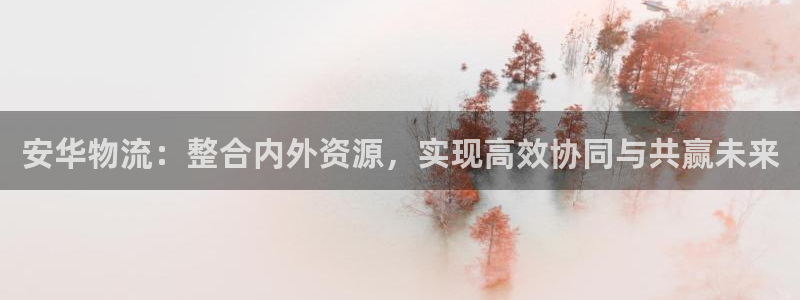 28圈分分压单双技巧：安华物流：整合