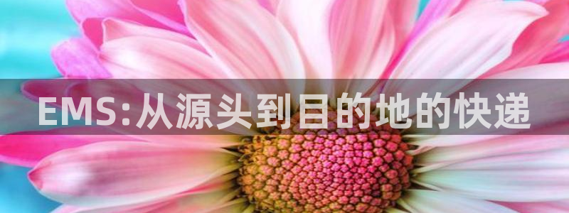 28圈注册登录链接:EMS:从源头到