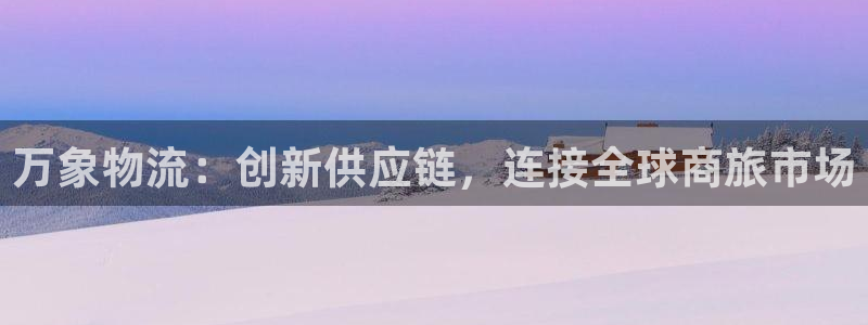 28圈登录流程:万象物流:创新供应链