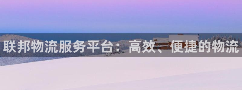 28圈合法吗:联邦物流服务平台:高效