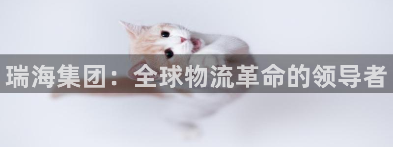 28圈分分28输了能不能退:瑞海集团