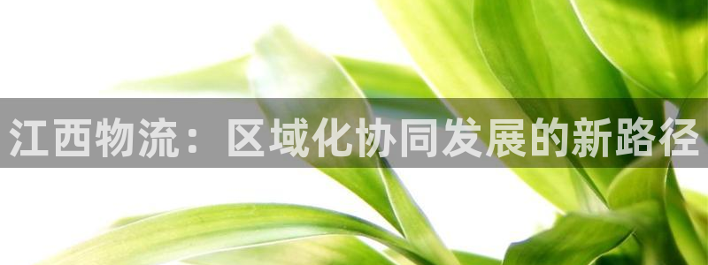 28圈充值不到账什么原因:江西物流: