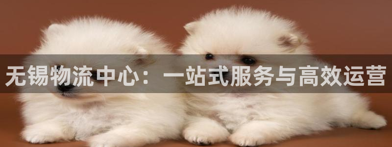 28圈是干嘛的