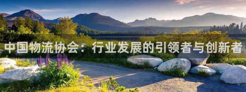 28圈是南宫旗下的吗