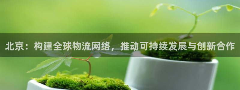 28圈登录流程：北京：构建全球物流网