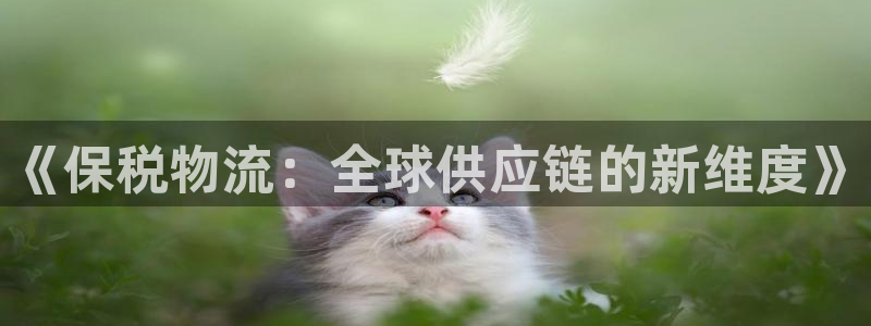 28圈客服电话