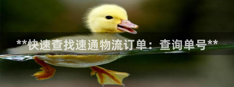 28圈推广链接是多少个