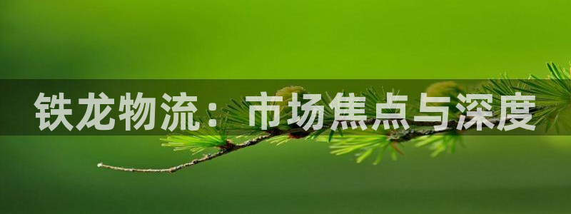 28圈app官网少林足球