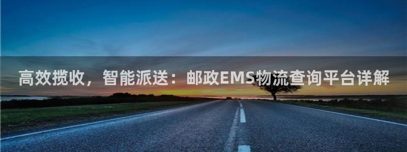 28圈.ccm2024