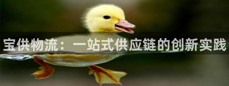 28圈自行车图片大全