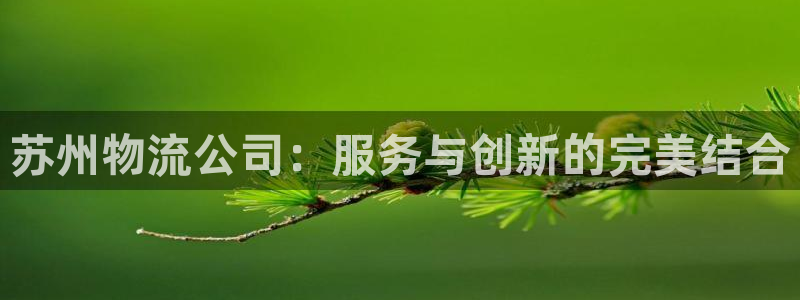 28圈PG电子游戏:苏州物流公司:服