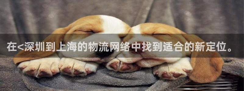 28圈官方网站是多少：在<深圳到上海