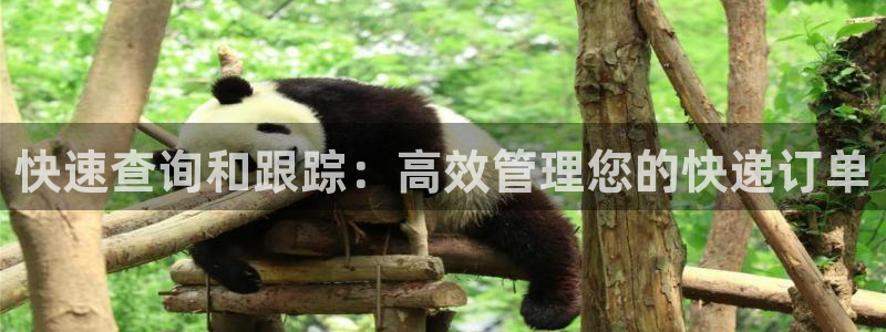 28圈人头费：快速查询和跟踪：高效管