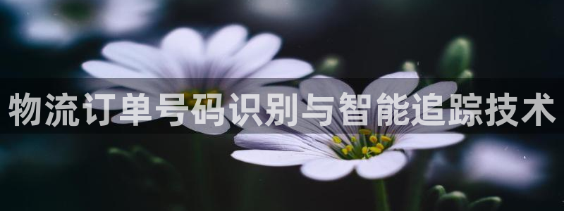 28圈充值金额随便