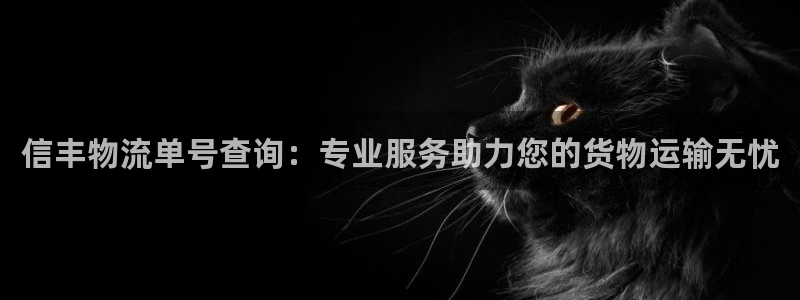 南宫28圈官网版