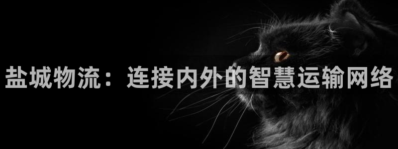 28圈是啥:盐城物流:连接内外的智慧