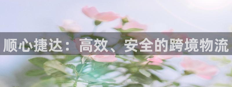 28圈注册链接:顺心捷达:高效、安全